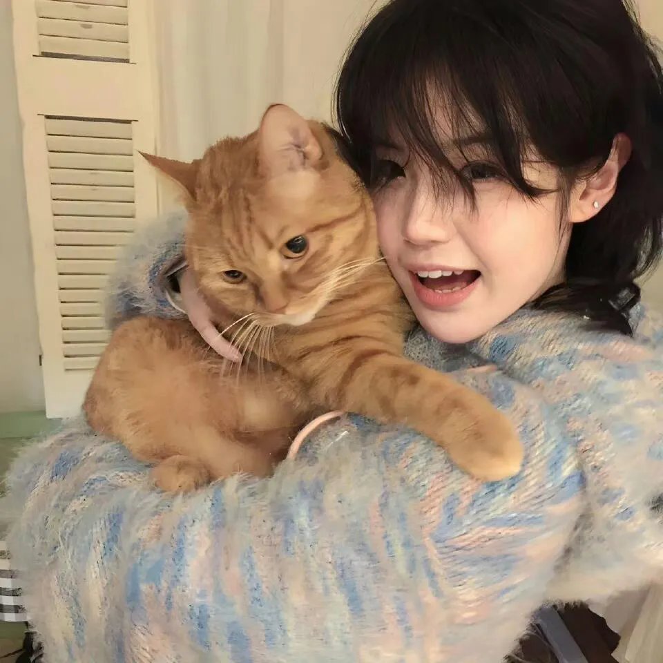 魔幻佳节寻宝记