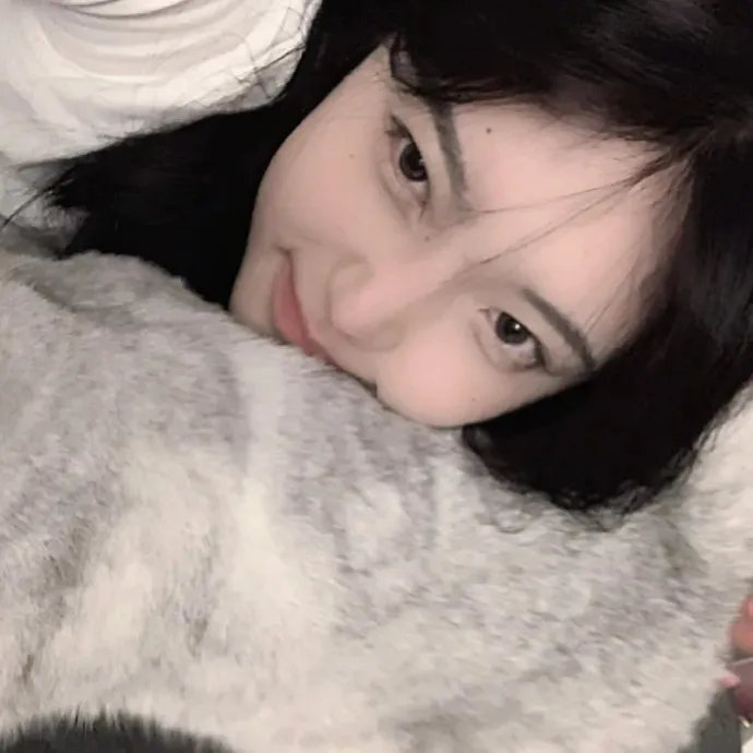 派特森与芬达猫：生日奇闻